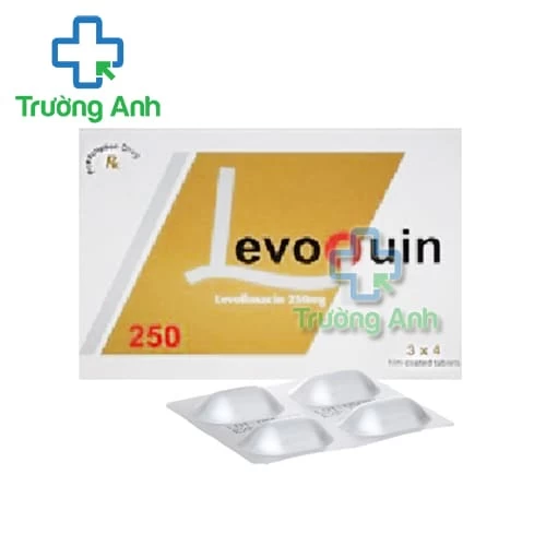 Levoquin 250 Pymepharco - Thuốc điều trị nhiễm khuẩn
